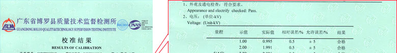 电力91看片APP网站证书报告结果页