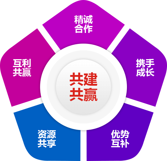 携手91看片网址入口，共建共赢