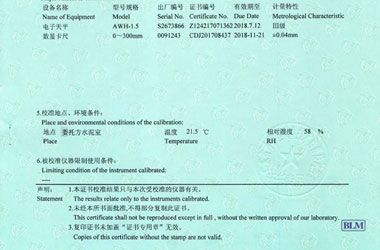 力学91看片APP网站证书报告说明页图片